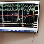 Online навчання поліграфологів - стати експертом поліграфологом