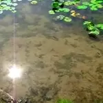 Чистим водоемы. Чистим бассейны. Чистим траншеи