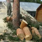 Резка деревьев,  валка леса,  кронирование деревьев,  чистка участков