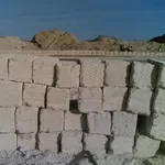 Камень - ракушечник