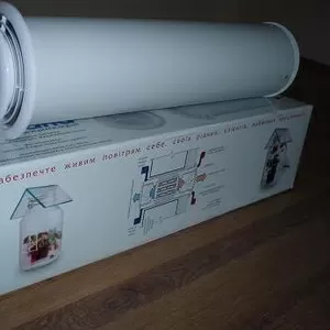 Знищення плісняви на стінах,  грибка,  цвілі , сирості в будинку