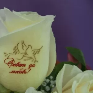 Наклейки на цветы,  говорящие цветы,  пленка для наклеек на цветы.