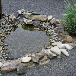 Ваш газон по евростандарту.