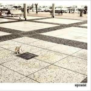 укладка тротуарной плитки  фэмов установка бордюров подготовка основан