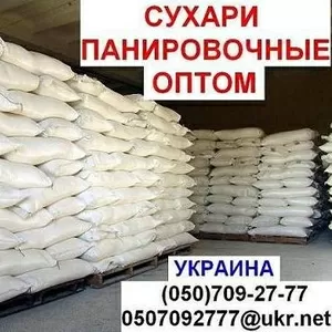 Панірувальні  сухарі  оптом !   