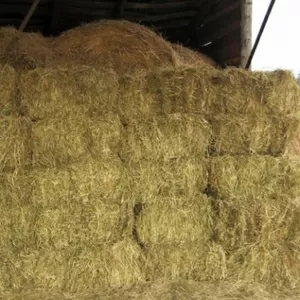 Сено тюкованное