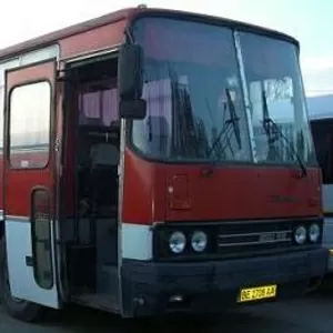 Продажа 1985' Ikarus 250 59 Николаев