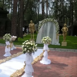 Свадебное оформление,  Шар сюрприз,  Шары с гелием,  Арка,  Цветы,  Чехлы.