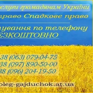 Юридичне вирішення сімейних спорів - приватний юрист Олег Гайдучок