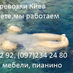 Перевозка мебели Киев-353 52 92!Грузчики.Квартирные и офисные переезды