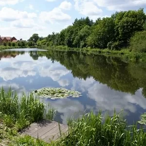 ОЧИСТКА ВОДОЕМА, ОЗЕЛЕНЕНИЕ ТЕРРИТОРИИ.