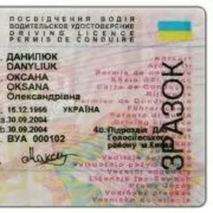 Помогу в любые сроки получить водительское удостоверение без посещения