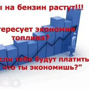 Региональный представитель