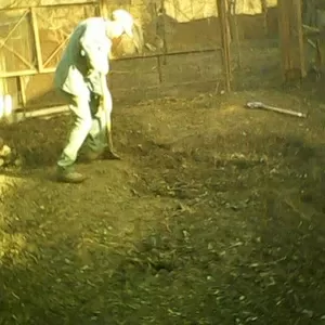 Удаление деревьев Спил аварийных веток Выкорчевка пней