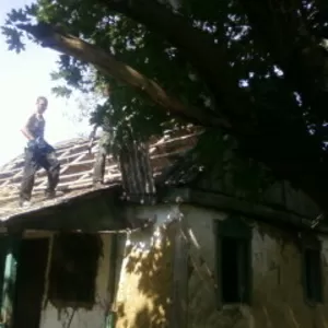 Рытье котлованов,  вывоз грунта. Земляные работы