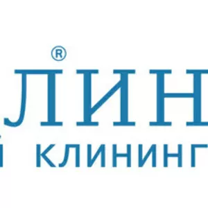 Услуги по химчистке