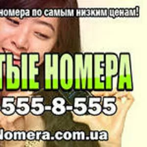 Золотые номера Украины. МТС,  Лайф,  Киевстар.