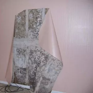 Эффективная помощь удаление грибка.