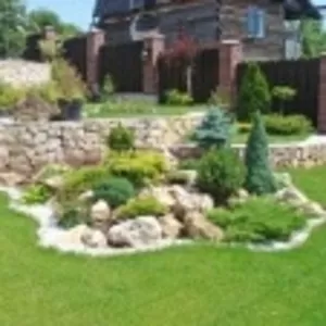 Ландшафтный дизайн