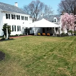 Реставрация  газонов