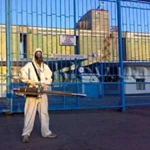 Комплексное уничтожение насекомых,  грызунов.