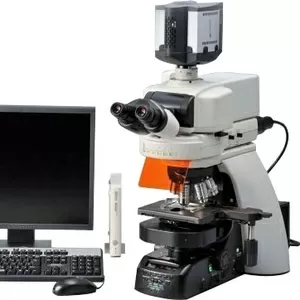 Микроскопы,  мікроскопи,  microscopes