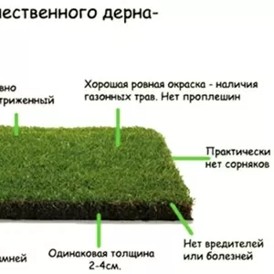 Рулонный газон от производителя под ключ,  купить,  Киев,  цена 30грн
