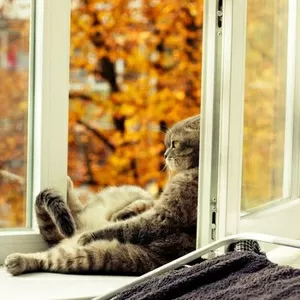 Металлопластиковые окна,  жалюзи,  защитные роллеты.