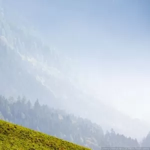 Психолог. Нестандартный подход.