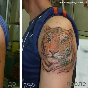 Искусство на Tеле Студия Таттоо 