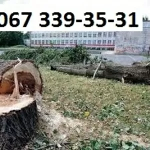 валка деревьев,  резка деревьев,  удаление аварийных деревьев