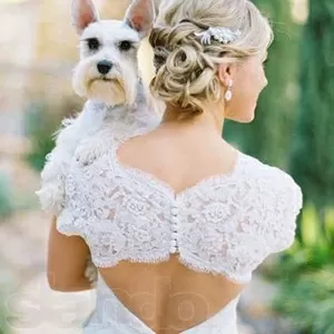 Свадебные прически выезд на дом