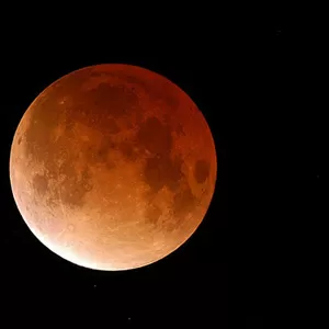 Гадание Таро (эл.почта,  телефон). Любовная магия.