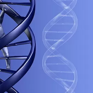 ДНК тест на батьківство з точністю 99, 9 відсотків