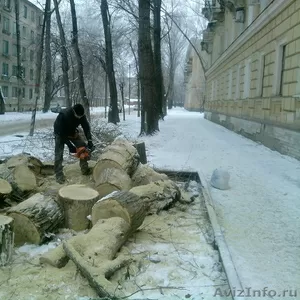 Спил деревьев и подрезка веток
