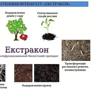 Биопрепарат Екстракон для органічного землеробства