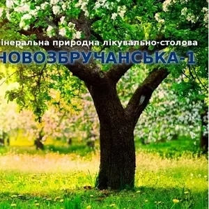 Вода мінеральна природна лікувально-столова 