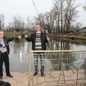 Платная рыбалка в Киеве: Веслонос,  Осетр,  Форель