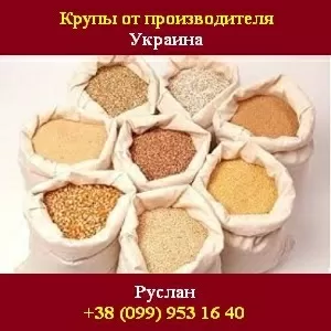 Купить крупы 2015 Рис круглый,  длинный. Украина