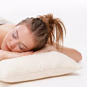 Уничтожение блох в квартире