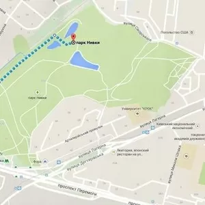 Дрессировка собак на Нивках