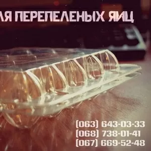 Пластиковая упаковка под перепелиные яйца в Киеве и Украине