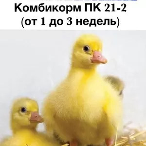 Комбикорм для гусей и уток ПК 22-2 (возраст от 3 до 8 недель)