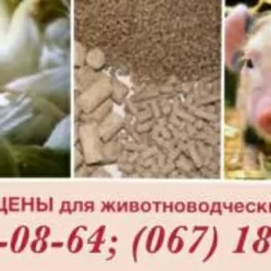 Комбикорм для цыплят-бройлеров  ПК 6-4,  возраст от 31 до 61 дней