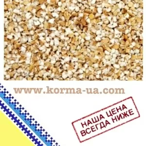 Пшеничная крупа (оптом)