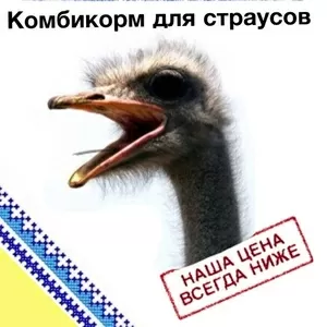Комбикорм для страусов.