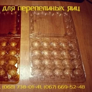 Профессиональная,  качественная упаковка для перепелиных яиц в Украине