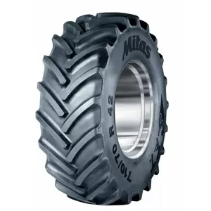 Шина 710/70R42 173D/176A8 TL