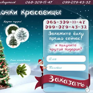 Заказать лендинг