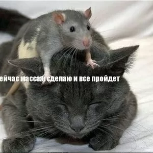 массаж общеоздоровительный,  антицеллюлитный,  депиляция